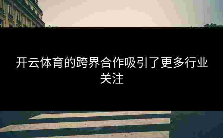 开云体育的跨界合作吸引了更多行业关注