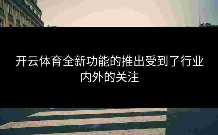 开云体育全新功能的推出受到了行业内外的关注