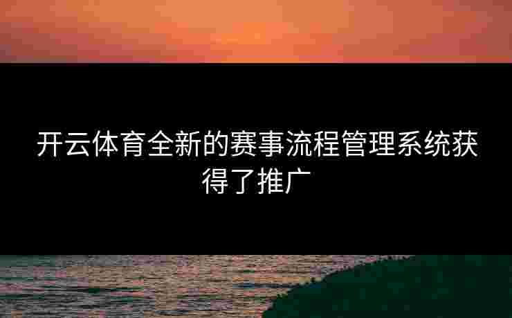 开云体育全新的赛事流程管理系统获得了推广
