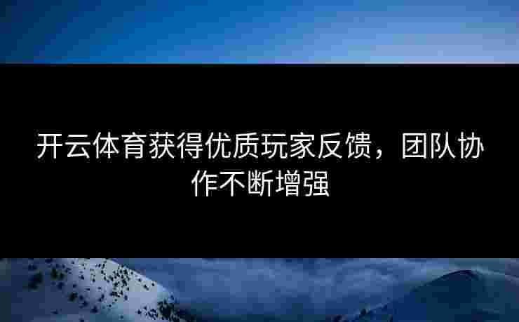 开云体育获得优质玩家反馈，团队协作不断增强