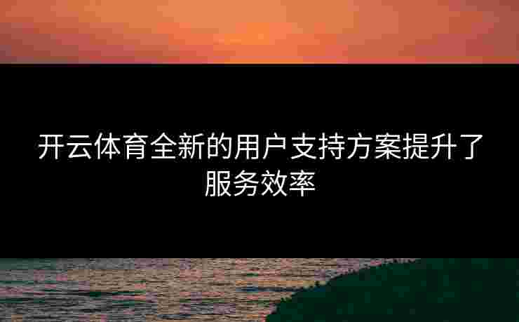 开云体育全新的用户支持方案提升了服务效率
